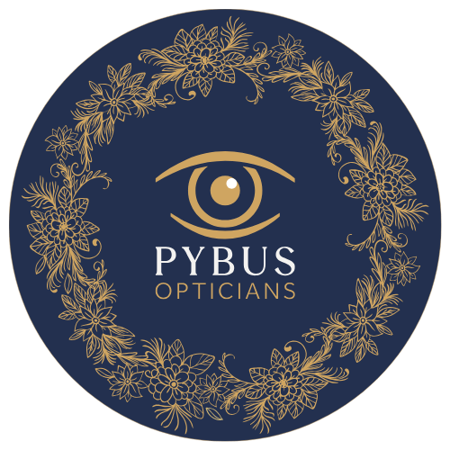 Pybus Logo